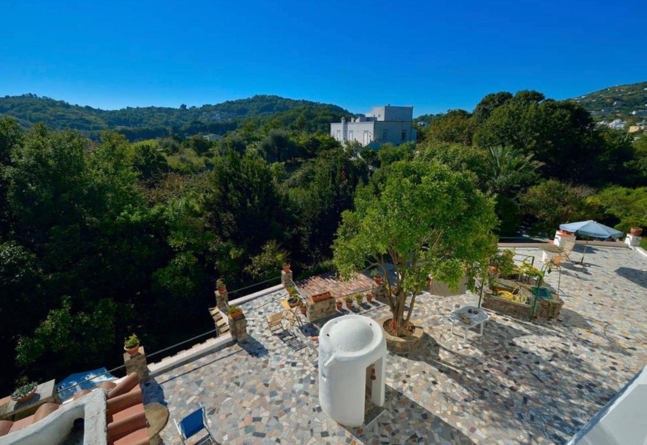 Villa Vincenzo Di Meglio Barano d'Ischia Exterior photo