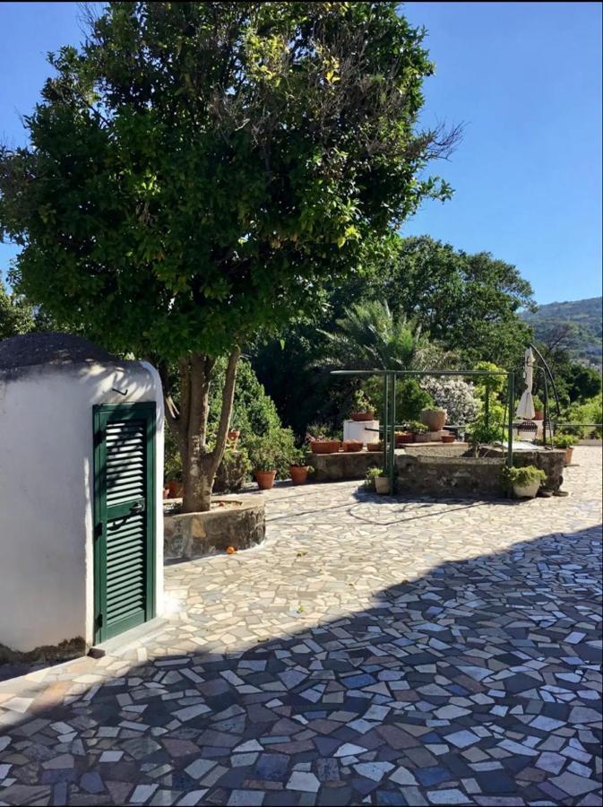 Villa Vincenzo Di Meglio Barano d'Ischia Exterior photo