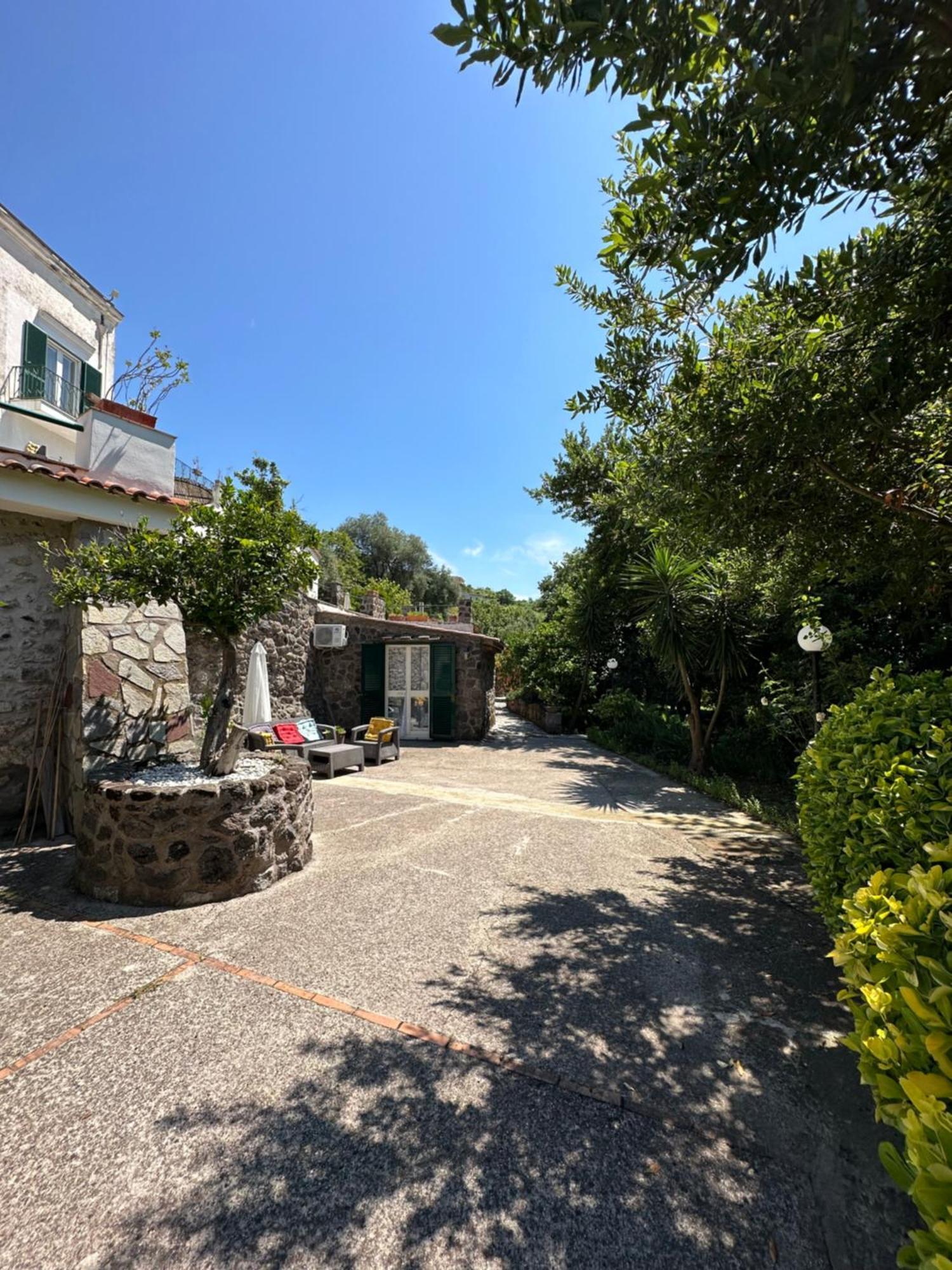 Villa Vincenzo Di Meglio Barano d'Ischia Exterior photo