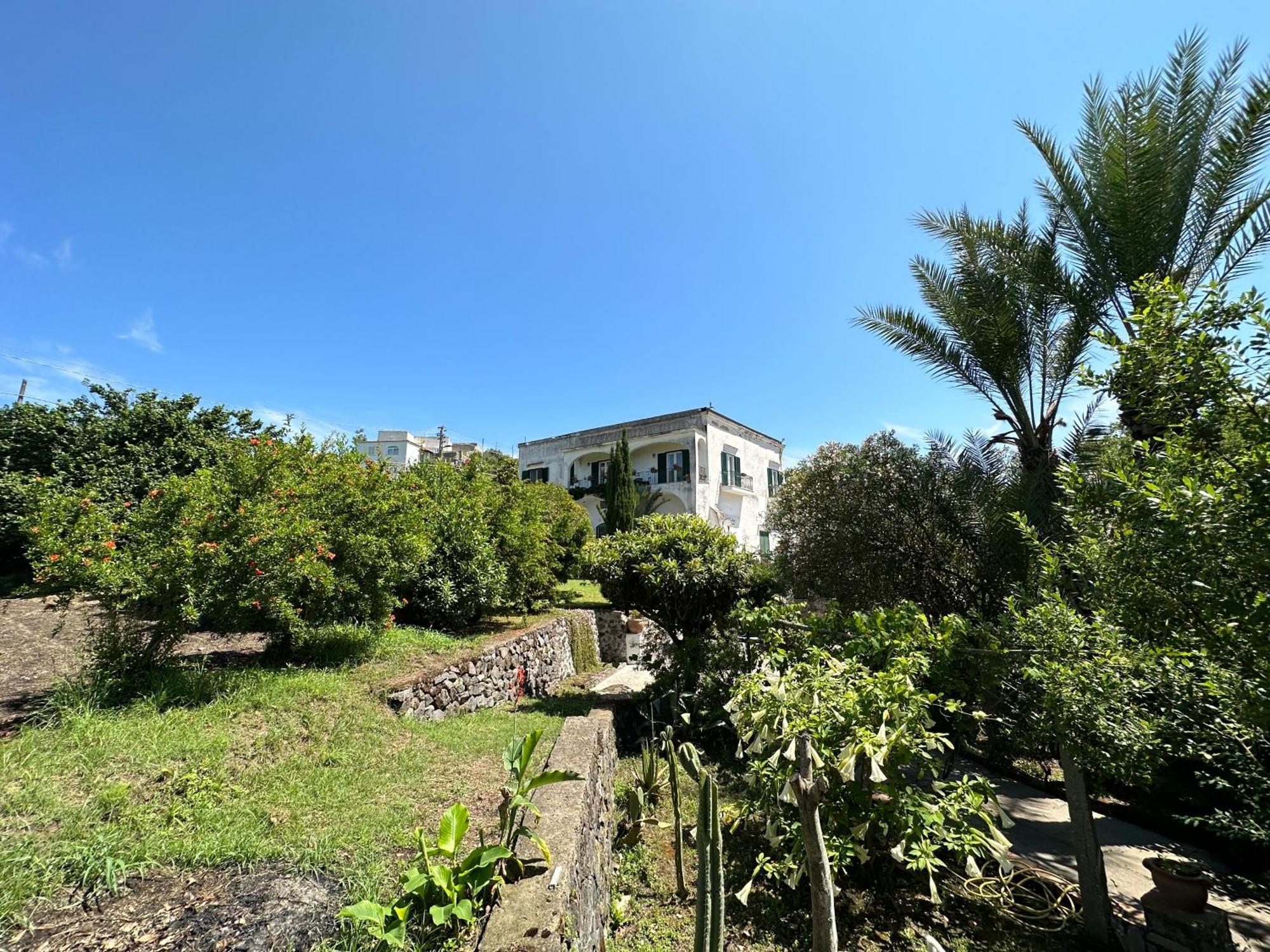 Villa Vincenzo Di Meglio Barano d'Ischia Exterior photo