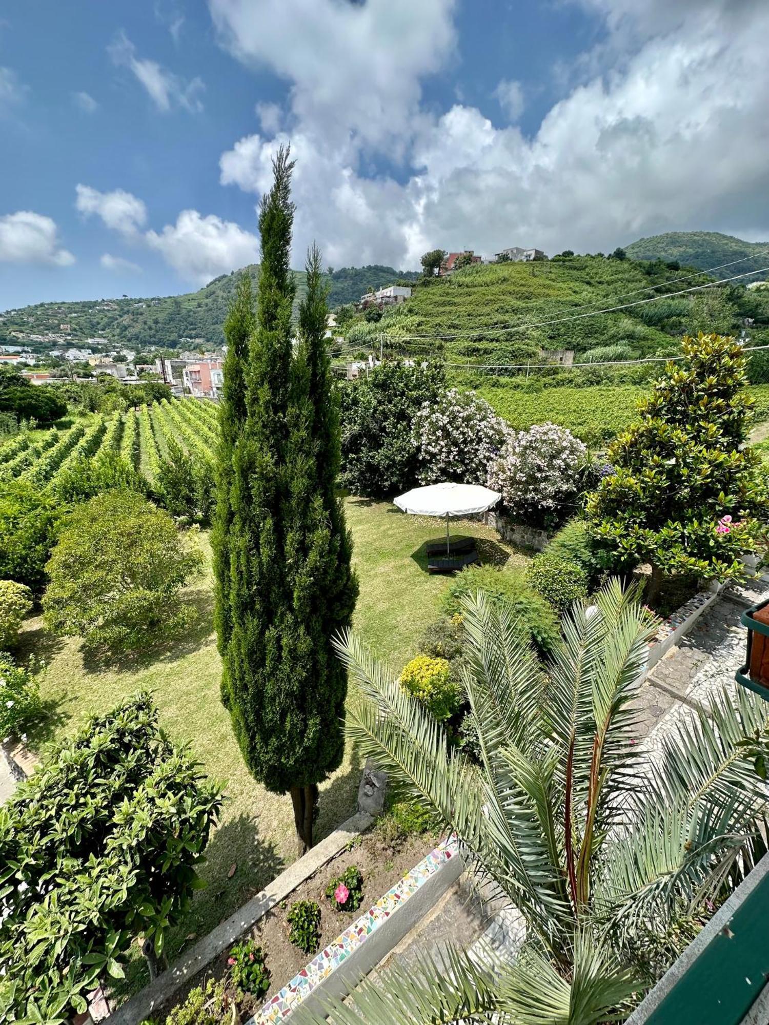 Villa Vincenzo Di Meglio Barano d'Ischia Exterior photo