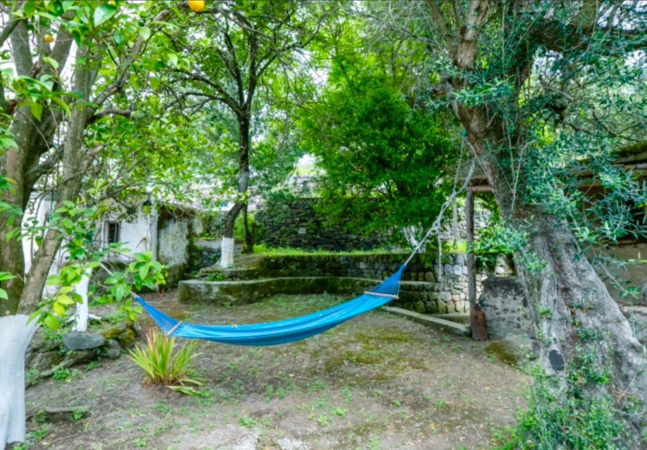 Villa Vincenzo Di Meglio Barano d'Ischia Exterior photo