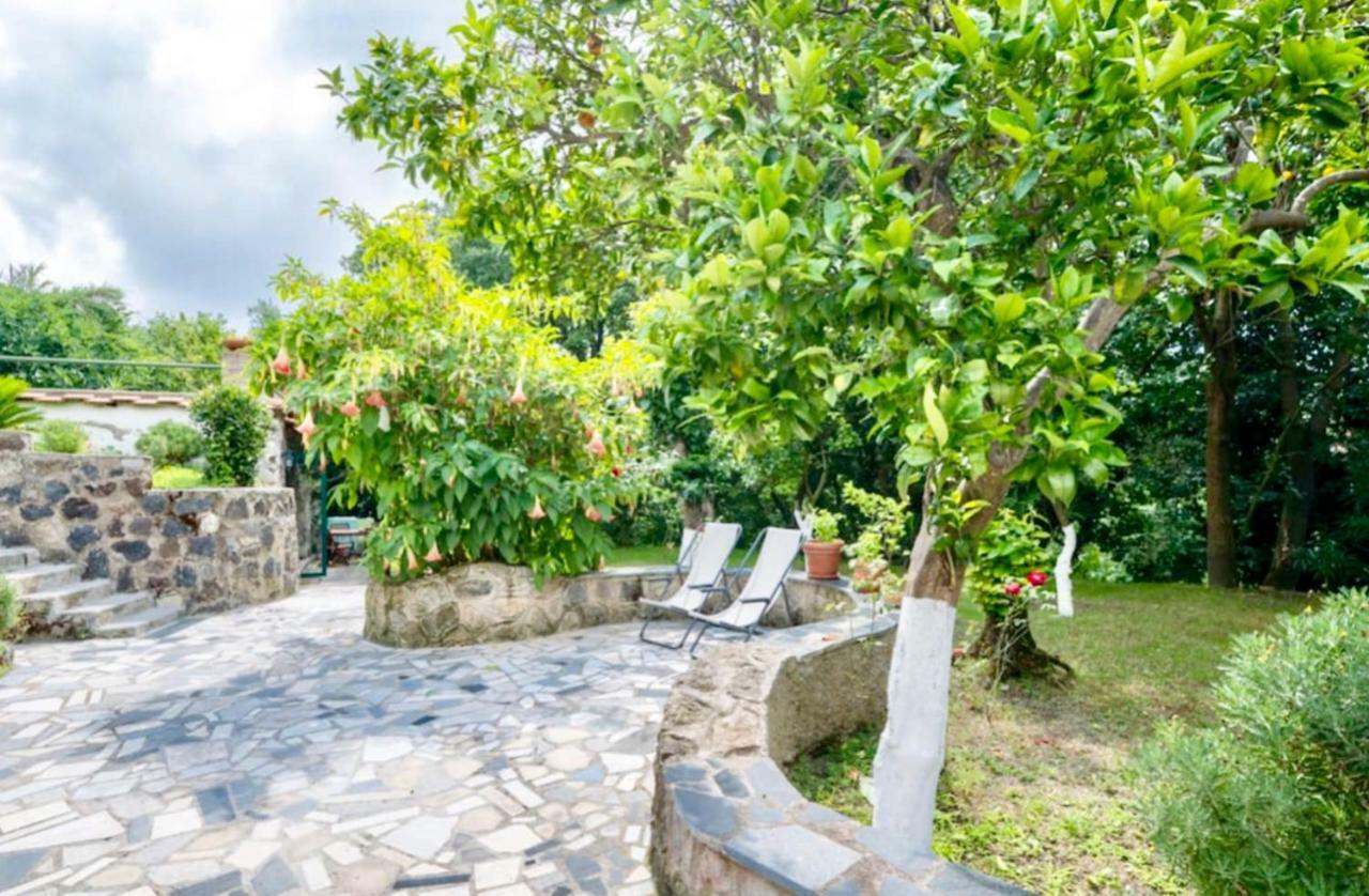 Villa Vincenzo Di Meglio Barano d'Ischia Exterior photo